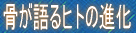 �������q�g�̐i��