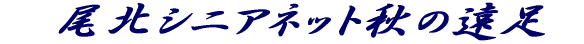 �@���k�V�j�A�l�b�g�H�̉��� 