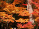 image0004