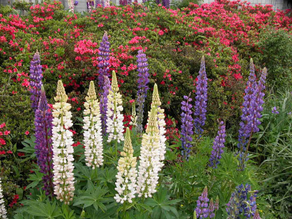 image0003