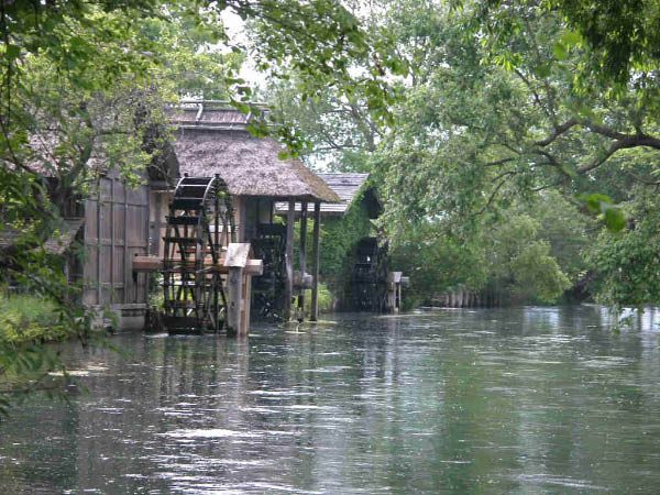 image0008