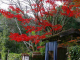 image0002