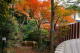 image0008