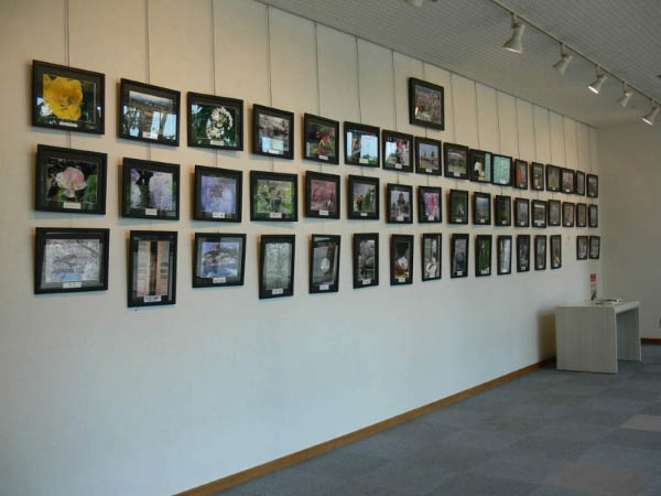 image0000