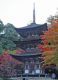 image0006