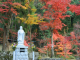 image0007