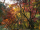 image0008