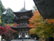 image0009