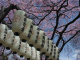 image0007