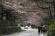 image0003