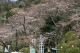 image0011