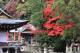 image0001