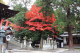 image0003