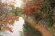 image0004