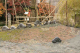 image0011