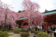 image0004