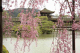 image0005