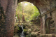 image0007
