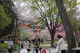 image0009