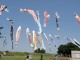 image0002