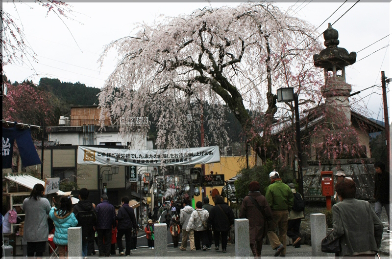image0008