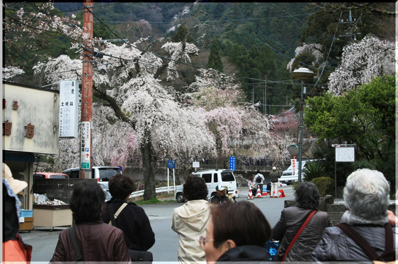 image0011
