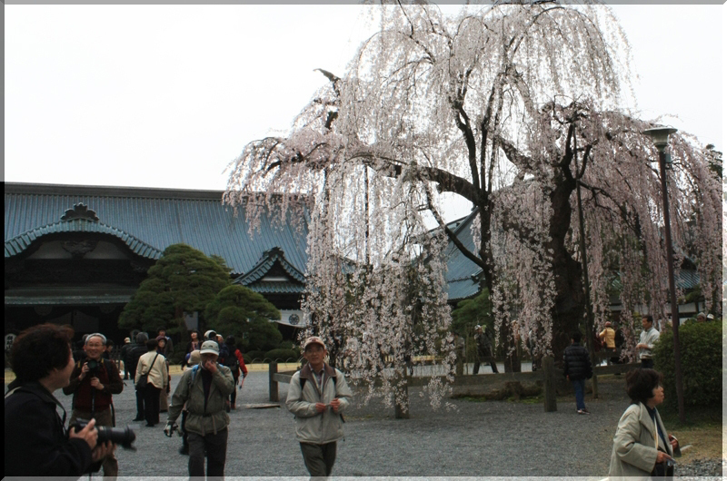 image0014