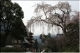 image0016