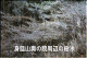 image0020